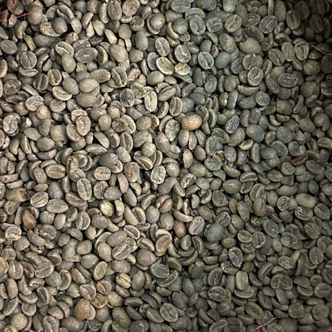 Caffè verde origine Colombia