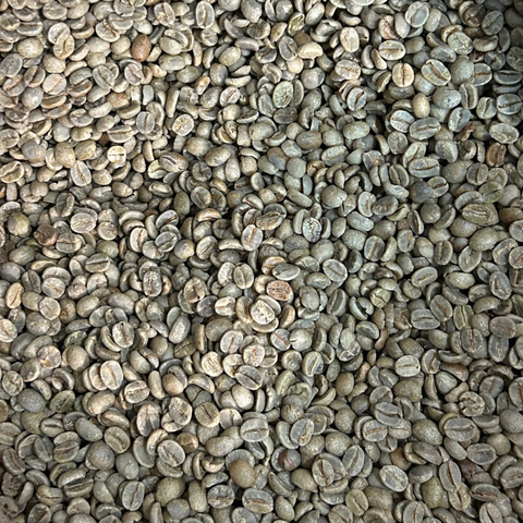 Caffè verde origine Brasile