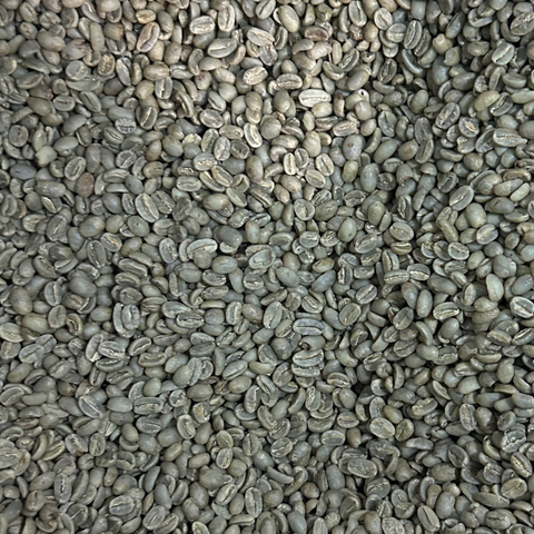 Caffè verde origine Etiopia