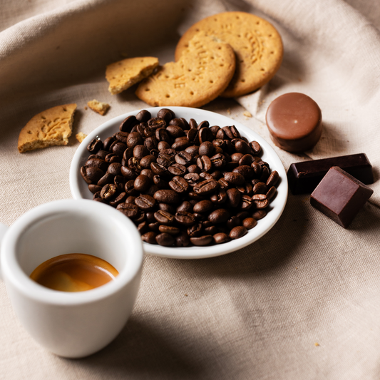 Caffè Maiolica miscela origine Ho.re.ca