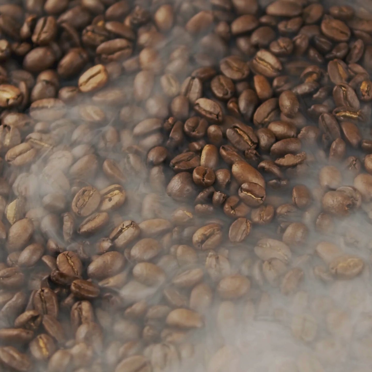 Carica il video: 